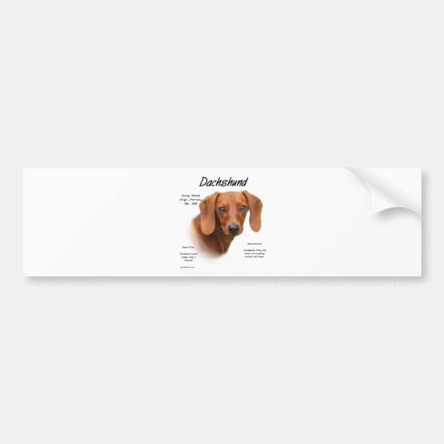 Dachshund (smooth) History Design Bumper Sticker (Front)