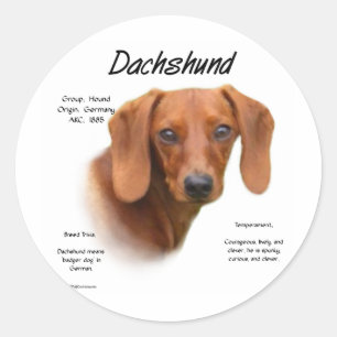 Dachshund (smooth) History Design Classic Round Sticker