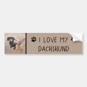 Dachshund (Smooth) Painting - Original Dog Art Bumper Sticker