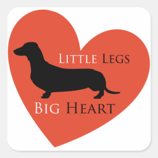 Dachshund Square Sticker