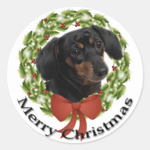 Dachshund Sticker
