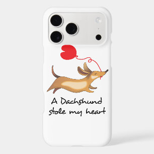 Dachshund Stole my Heart