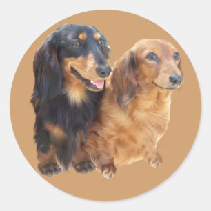 Dachshund Sweeties Sticker