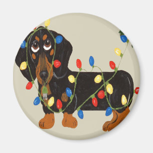 Dachshund Tangled In Christmas Lights Blk/Tan Magnet