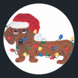 Dachshund Tangled In Christmas Lights (Red) Classic Round Sticker<br><div class="desc">This Dachshund Is Determined To Help Decorate The Christmas Tree!!  Getting Tangled In The Lights Is Just A Temporary Glitch!</div>