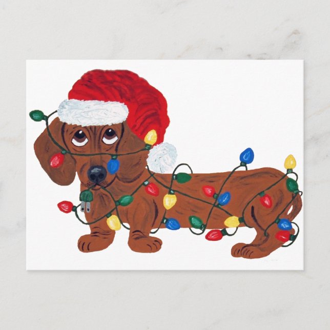 Dachshund Tangled In Christmas Lights (Red) Holiday Postcard (Front)