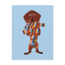 Dachshund tangled in Scarf Postcard