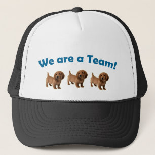 Dachshund Team Cap/ Hat (Blue)