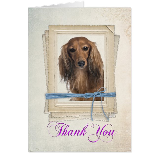 Dachshund Thank You Card (Front)
