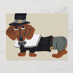 Dachshund Thanksgiving Pilgrim Holiday Postcard