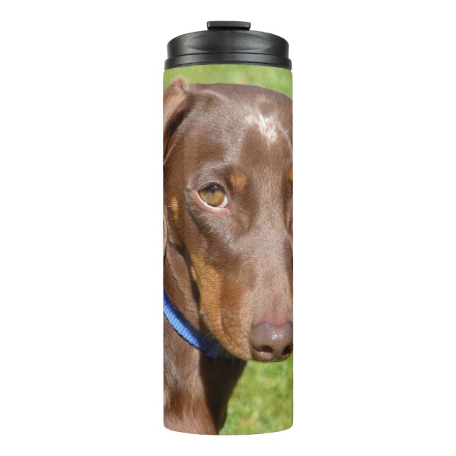 Dachshund Thermal Tumbler (Front)