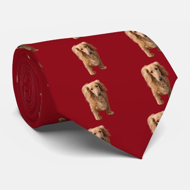 Dachshund Tie (Rolled)