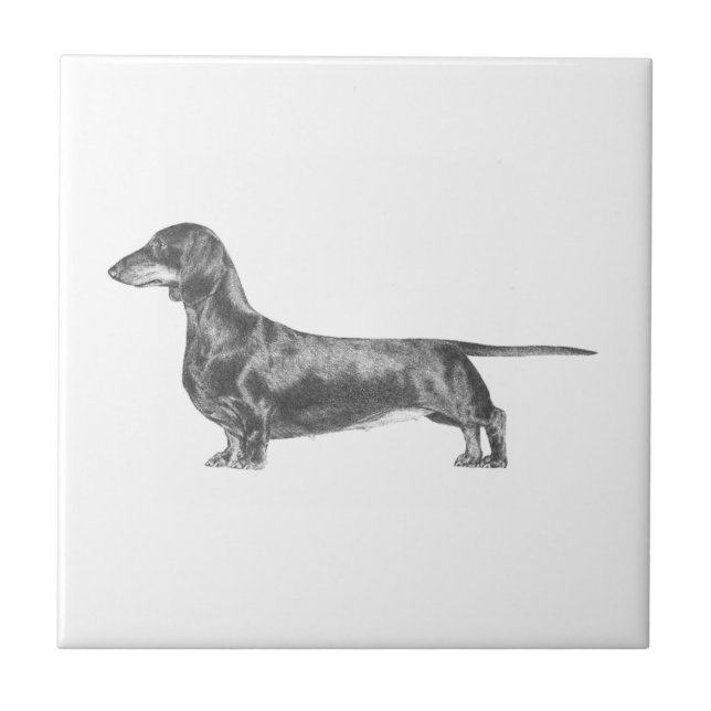 Dachshund Tile (Front)