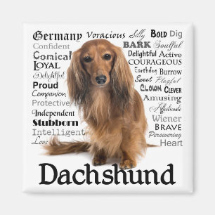 Dachshund Traits Magnet