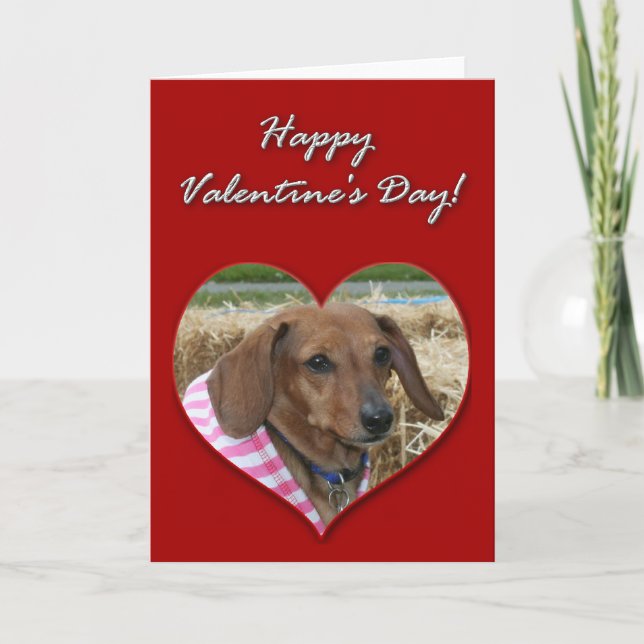 Dachshund Valentines Day Card (Front)