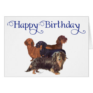 Dachshund Varieties