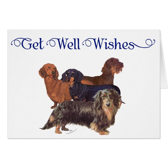 Dachshund Varieties Card