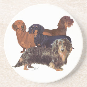 Dachshund Varieties Coaster