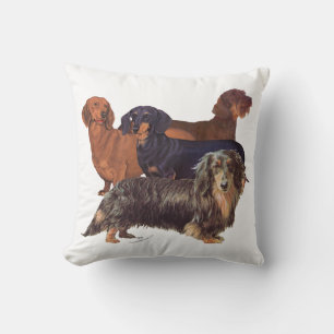 Dachshund Varieties Cushion