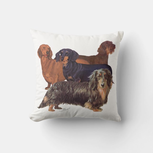 Dachshund Varieties Cushion (Front)