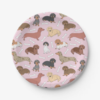 dachshund variety pattern in pink paper plate