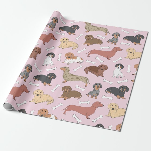 dachshund variety pattern in pink wrapping paper (Unrolled)