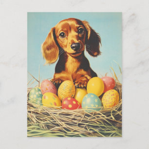 Dachshund Vintage Easter Postcard
