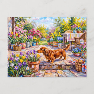 Dachshund Walking Through Colourful Blooming Sprin Postcard