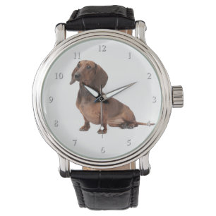 Dachshund Watch