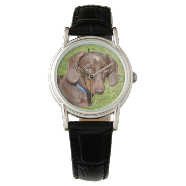 Dachshund Watch (Front)
