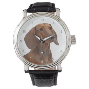 Dachshund Watch