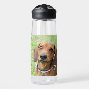 Dachshund  water bottle