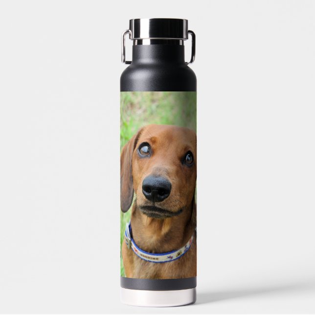 Dachshund  water bottle (Front)