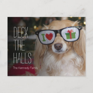 Dachshund wearing 'I love presents' Postcard