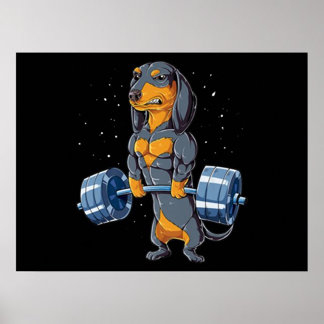 Dachshund Weightlifting Fitness Gym Poster (Front)