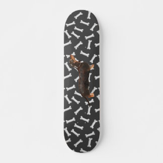Dachshund wiener dog skateboard