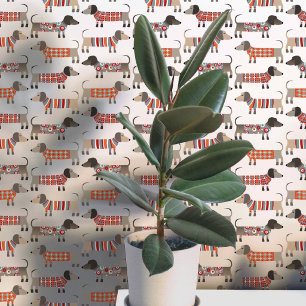 Dachshund Wiener Sausage Dog Wallpaper