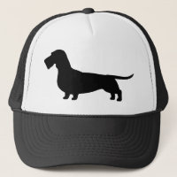 Dachshund (Wire Hair)