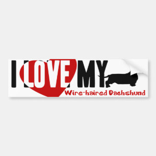 Dachshund [Wire-haired] Bumper Sticker