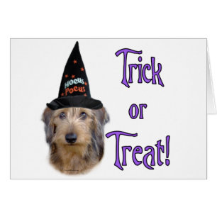 Dachshund (wire) Trick