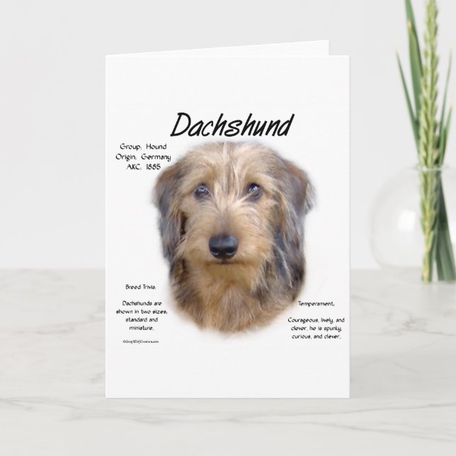 Dachshund (wirehair) History Design Holiday Card (Front)