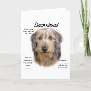 Dachshund (wirehair) History Design Holiday Card