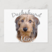Dachshund (wirehaired) Mum 2