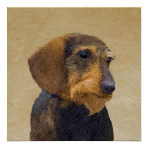 Dachshund (Wirehaired) Painting Original Dog Art Poster