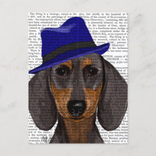 Dachshund With Blue Trilby Postcard