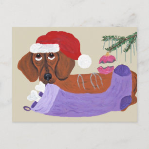 Dachshund With Christmas Stocking Holiday Postcard