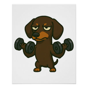 Dachshund with dumbbell fitness training biceps wo poster