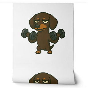 Dachshund with dumbbell fitness training biceps wo wallpaper