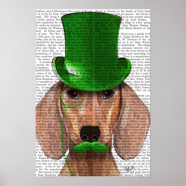 Dachshund With Green Top Hat and Moustache Poster (Front)