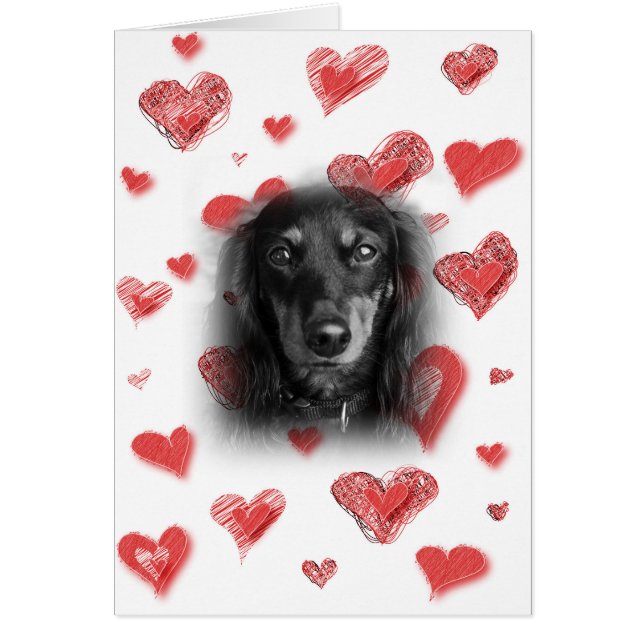 Dachshund with Red Hearts Card (Front)